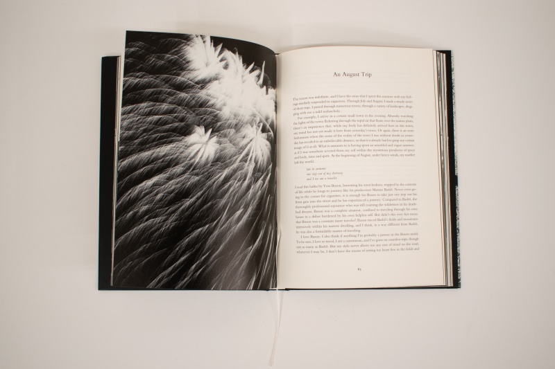 Memories of a Dog (Deluxe Edition with print) - Daido