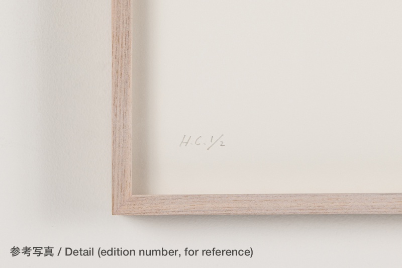 William  Photographe Etc★大幅に値下げしました ウィリアム・エグルストン【Polaroid SX-70】 - 京都にある、美術洋書