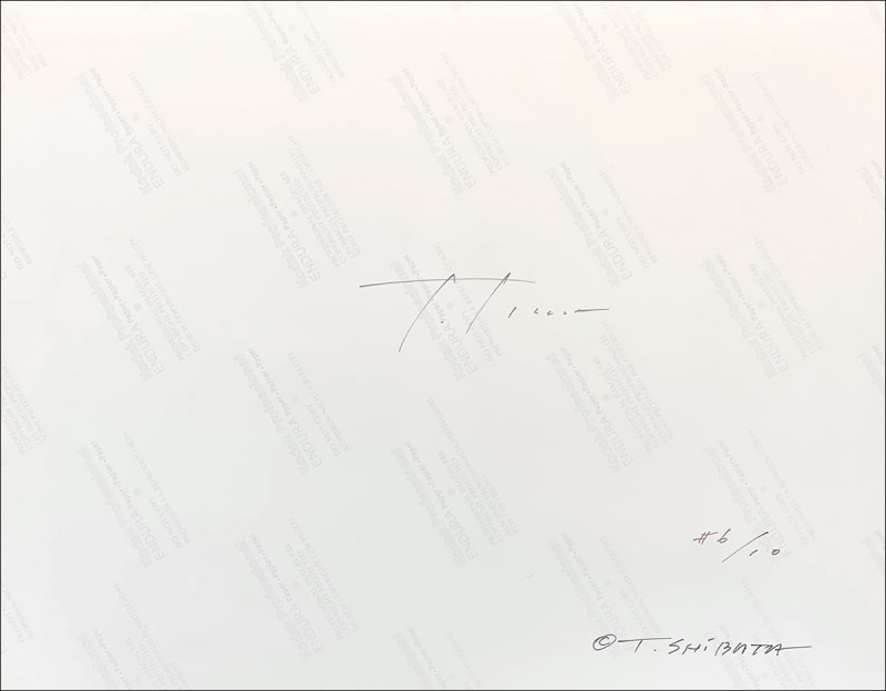 For Grey（特装版）C - 柴田敏雄 | AKIO NAGASAWA