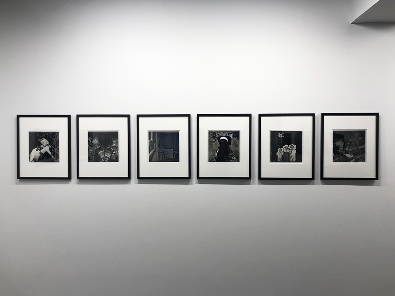 第75回記念　日本画院展　2015 14158-389-