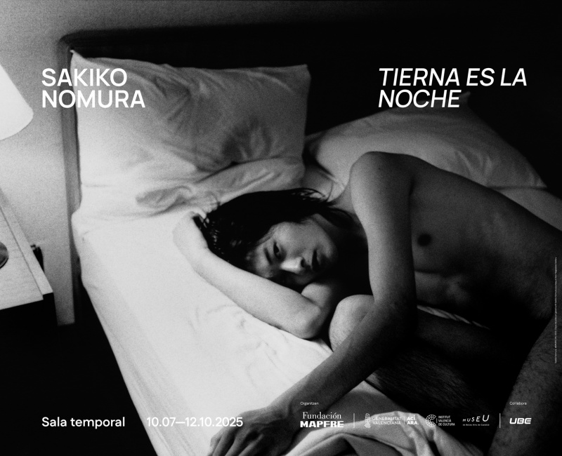 野村佐紀子個展「Tender is the night」カステリオン美術館（スペイン
