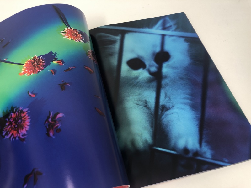 Eternity in a Moment vol.2 - 蜷川実花 | AKIO NAGASAWA