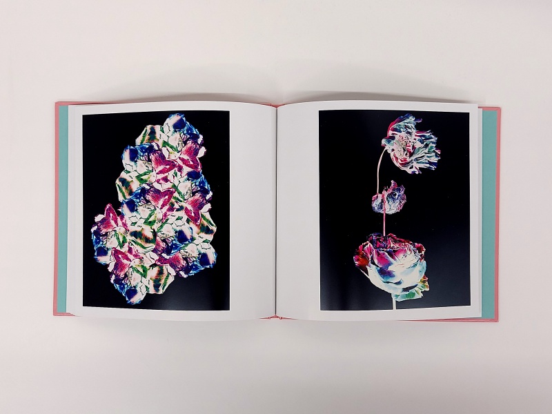 原画　『flower, s.』 WITHERED FLOWERS REVERSE - 田島 一成 | AKIO NAGASAWA