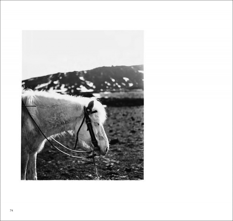 Early Works 1970-1975_E（特装版） - 須田一政 | AKIO NAGASAWA