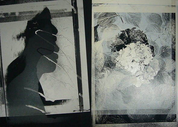 横田大輔 DAISUKE YOKOTA: inversion, negative pic1.jpg
