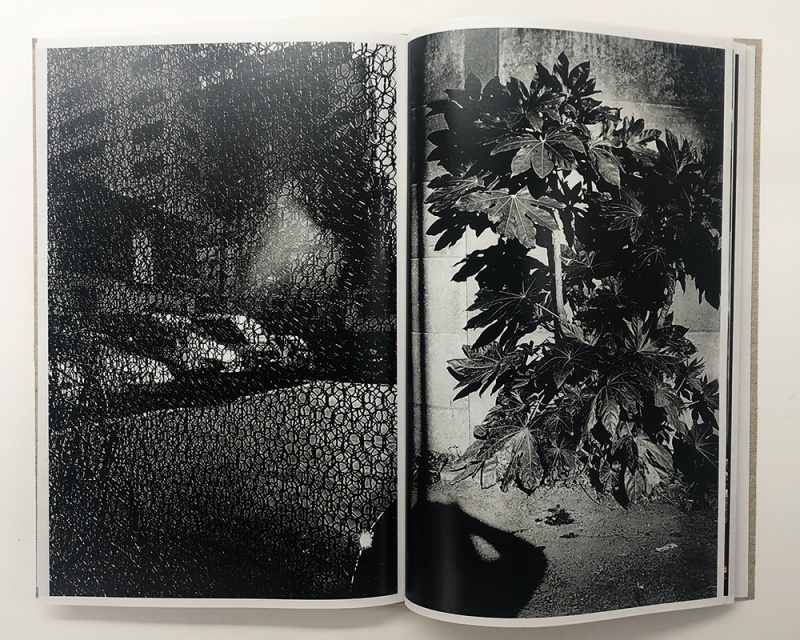 Naomi - 森山大道 | AKIO NAGASAWA