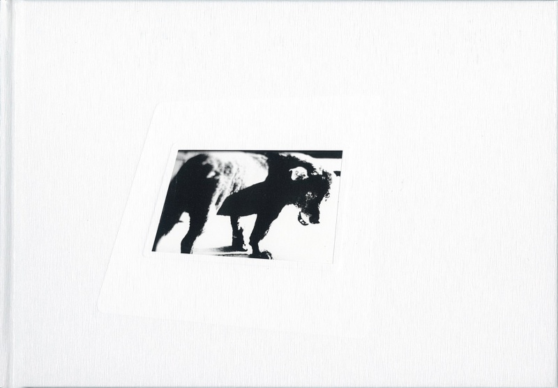 DAIDO SLIDE (Right) - Daido MORIYAMA | AKIO NAGASAWA