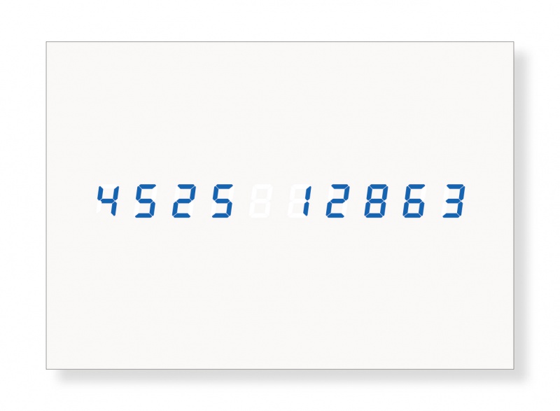 William  Photographe Etc★大幅に値下げしました The Democratic Forest: Selected Works | William Eggleston