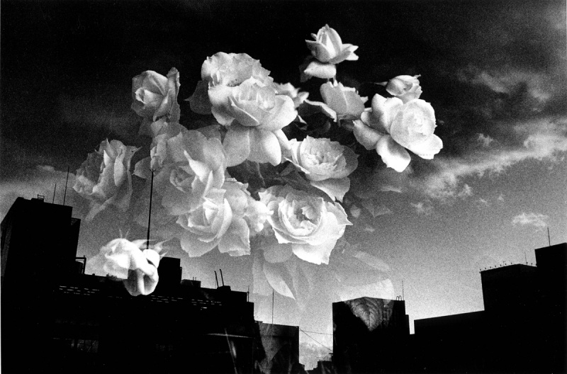 Daido Moriyama in Osaka - Blog | AKIO NAGASAWA