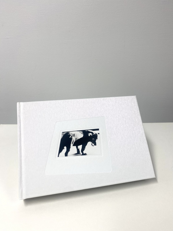 森山大道『DAIDO SLIDE』(RIGHT) 森山大道: DAIDO SLIDE 【表紙：右向き（RIGHT）】 | bookshop M