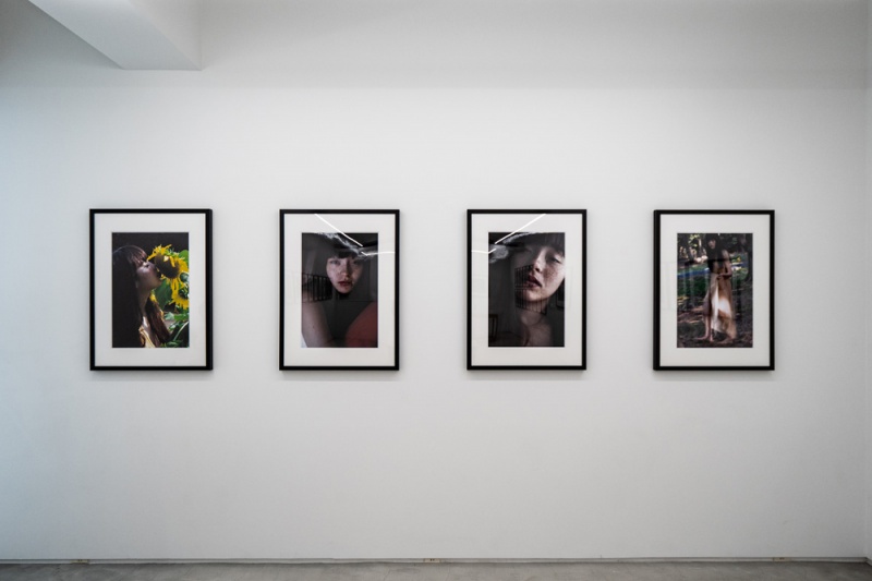 モトーラ世理奈 沢渡 朔 - 過去の展覧会 | AKIO NAGASAWA