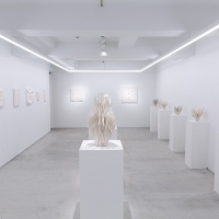 Hybridizing - 過去の展覧会 | AKIO NAGASAWA
