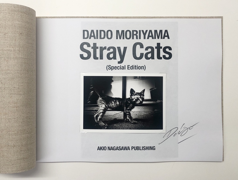 Stray Cats（特装版）C - 森山大道 | AKIO NAGASAWA