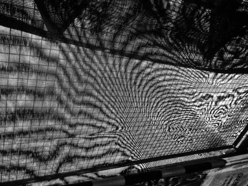 記録61号 - 森山大道 | AKIO NAGASAWA