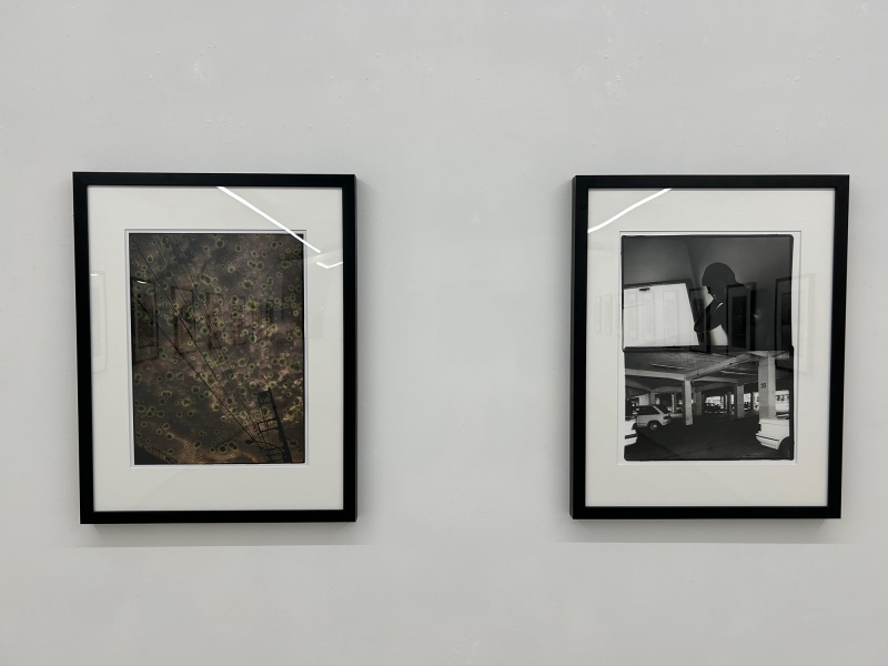 写真集　BADULESCU SUENOS Youth Lagoon - Rarely Do I Dream | The New Album – Fat Possum Records