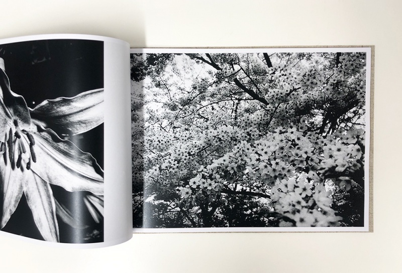 No.4 Vol.39 SWITCH 森山大道　『女の道』シリーズ（４部作＋番外編）５冊セット 特集 Zoneを撮る 森山大道、Sexy Labyrinth SHIBUYA アート・デザイン・音楽