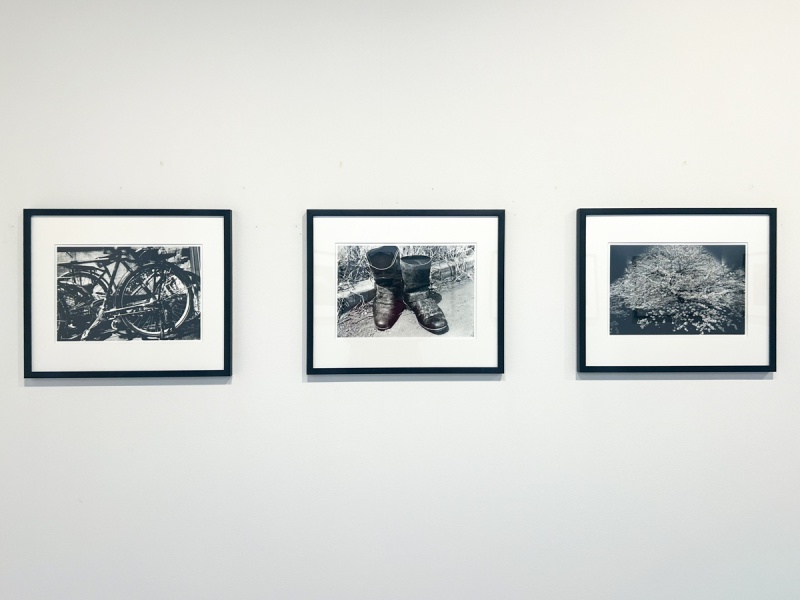 森山大道個展「光と影」富士見カメラ館 - Blog | AKIO NAGASAWA