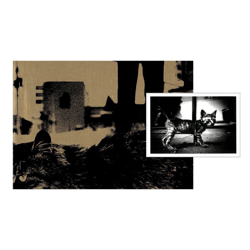 DAIDO MORIYAMA - stray dog. 森山大道 100: DAIDŌ MORIYAMA, Stray Dog, Misawa < Photographs, 1 December