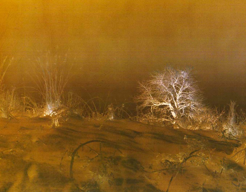 Crash（特装版）E - JH・エグルストーム | AKIO NAGASAWA