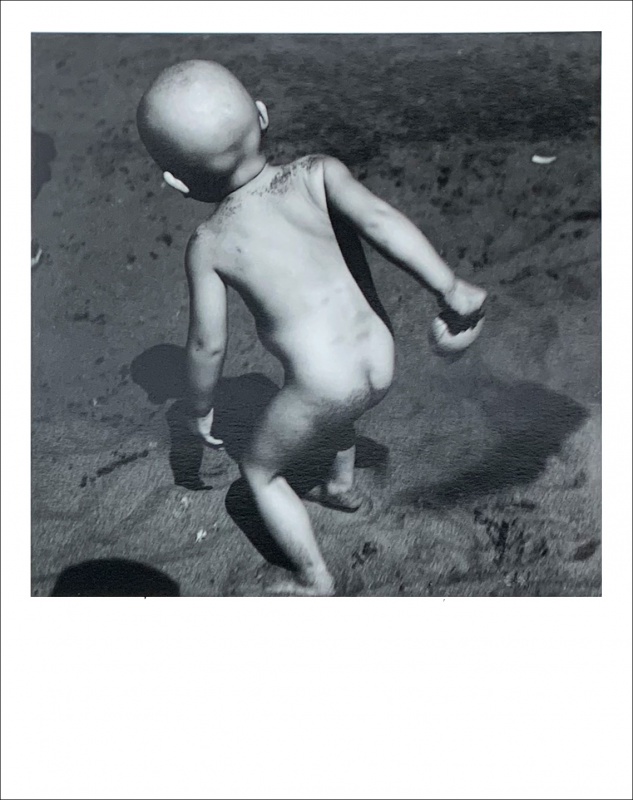 風姿花伝／完全版（特装版）A - 須田一政 | AKIO NAGASAWA