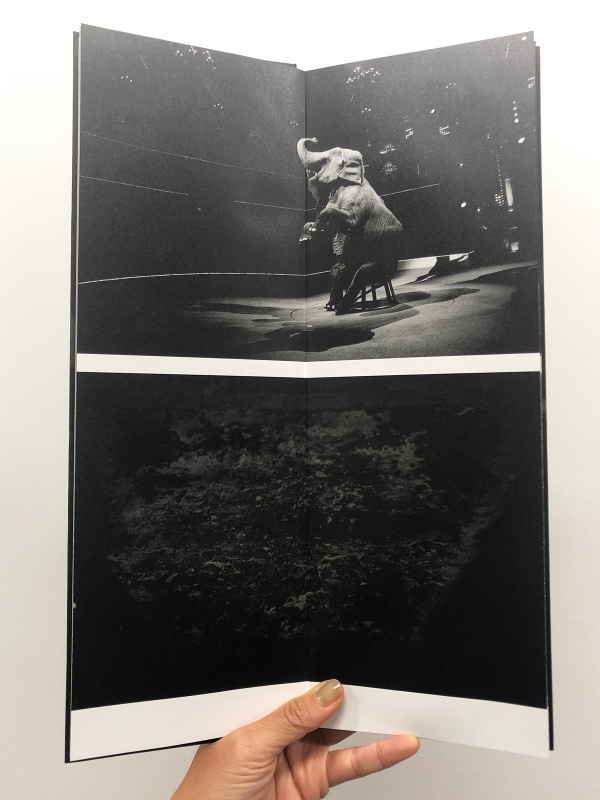 春の運命 - 野村佐紀子 | AKIO NAGASAWA