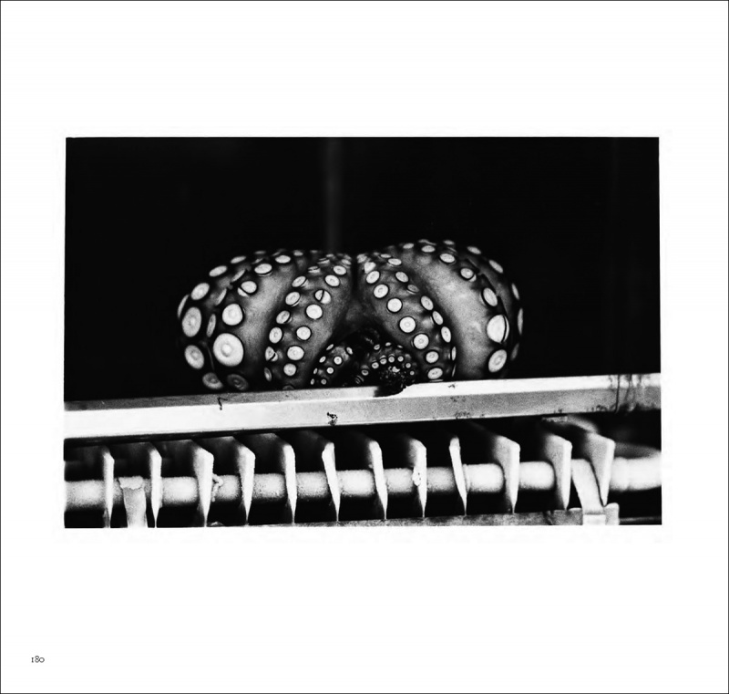 Early Works 1970-1975_E（特装版） - 須田一政 | AKIO NAGASAWA