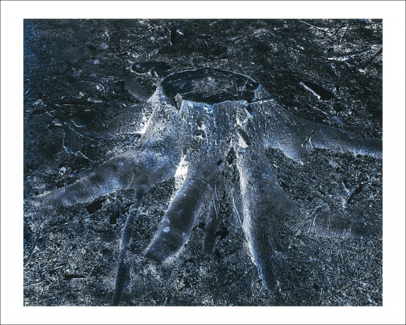 Crash（特装版）E - JH・エグルストーム | AKIO NAGASAWA