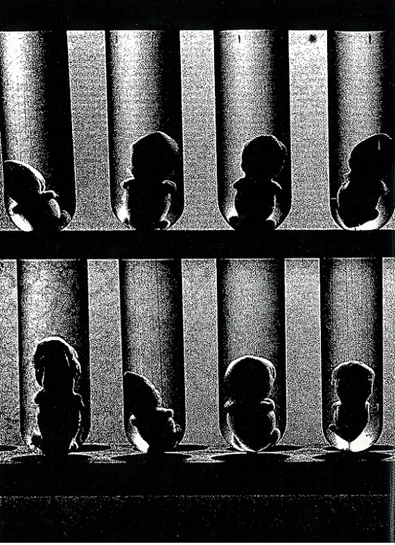 無言劇 - 森山大道 | AKIO NAGASAWA