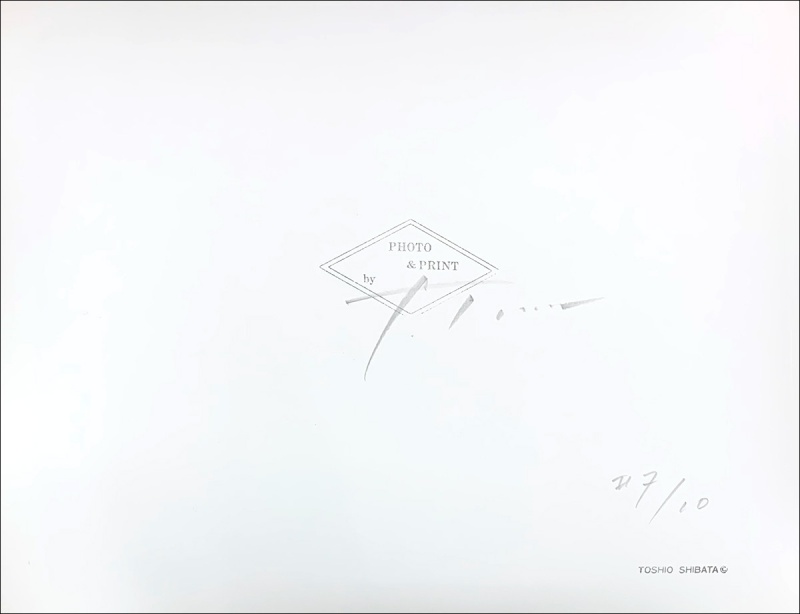 a View（特装版）C - 柴田敏雄 | AKIO NAGASAWA