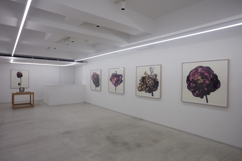 WITHERED FLOWERS［第一期］ - 過去の展覧会 | AKIO NAGASAWA