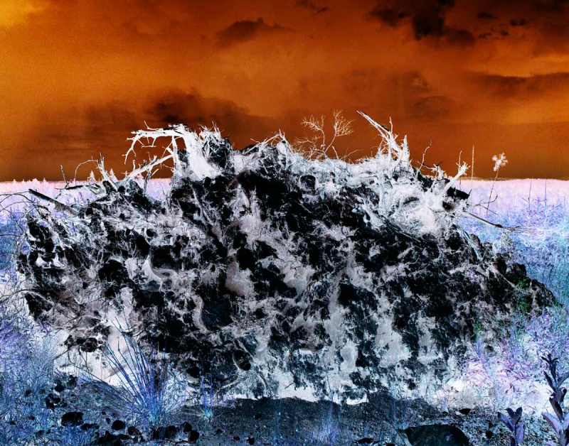 Crash（特装版）E - JH・エグルストーム | AKIO NAGASAWA