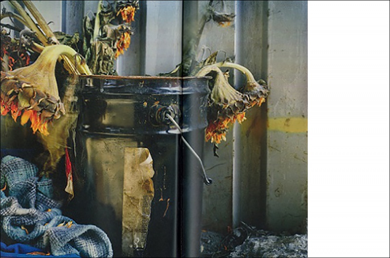 Revoir - JH・エグルストーム | AKIO NAGASAWA