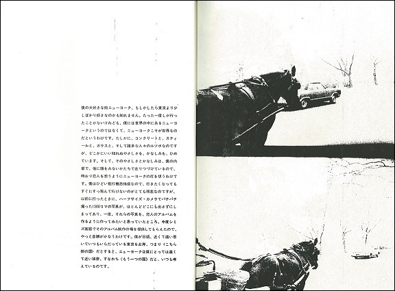 ANOTHER COUNTRY IN NEW YORK: Flag (reprint) (A.P.) - 森山