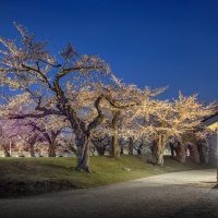 Roadside Lights 2 - 過去の展覧会 | AKIO NAGASAWA
