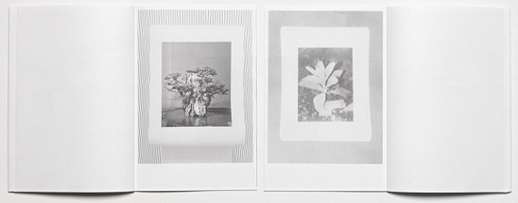 Max Pinckers & Daisuke Yokota　直筆サイン　横田大輔 Floating Worlds／Max Pinckers & Daisuke Yokota - 横田大輔