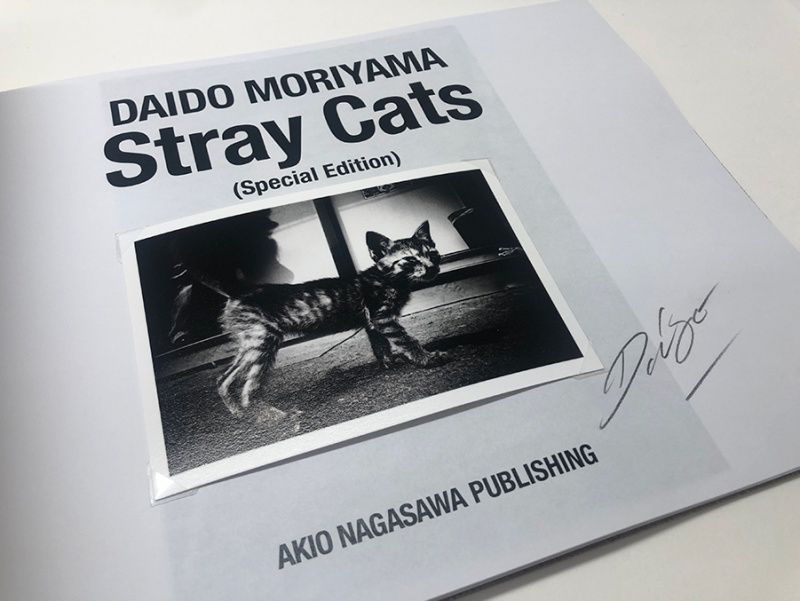 Stray Cats（特装版）C - 森山大道 | AKIO NAGASAWA