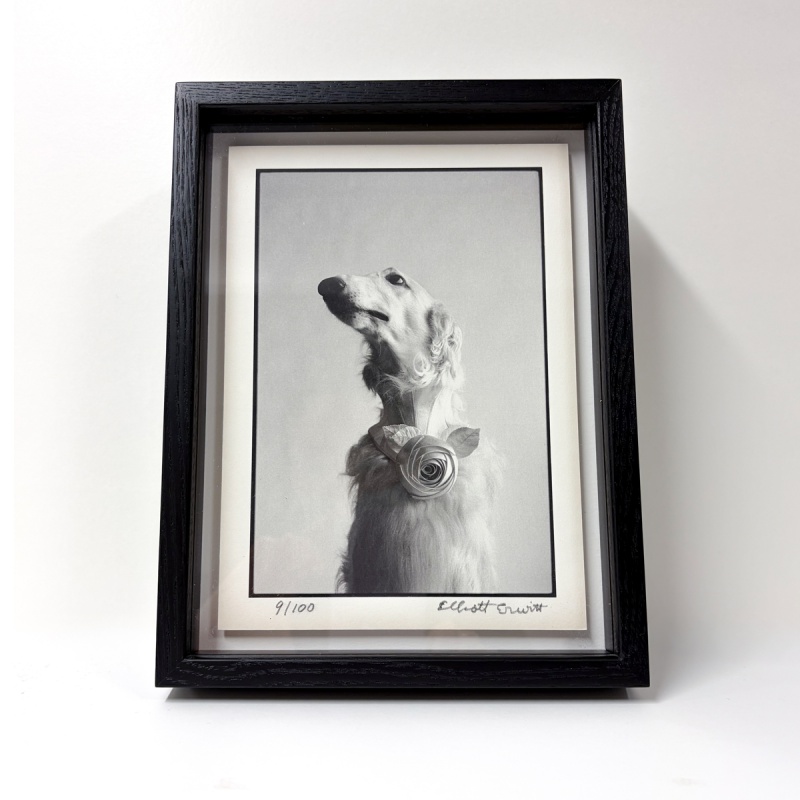Elliott Erwitt: Book + Folio “DOGS” | AKIO NAGASAWA