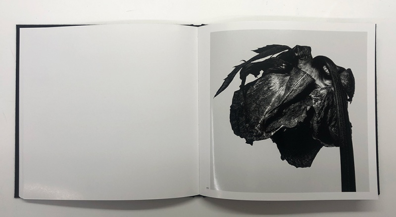 WITHERED FLOWERS BLACK - Kazunali TAJIMA | AKIO NAGASAWA