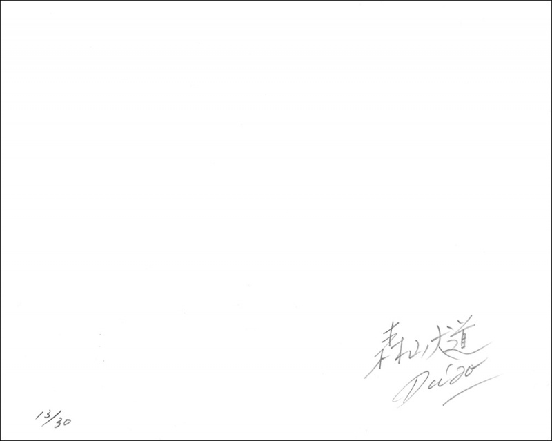 NORTHERN（特装版）E - 森山大道 | AKIO NAGASAWA