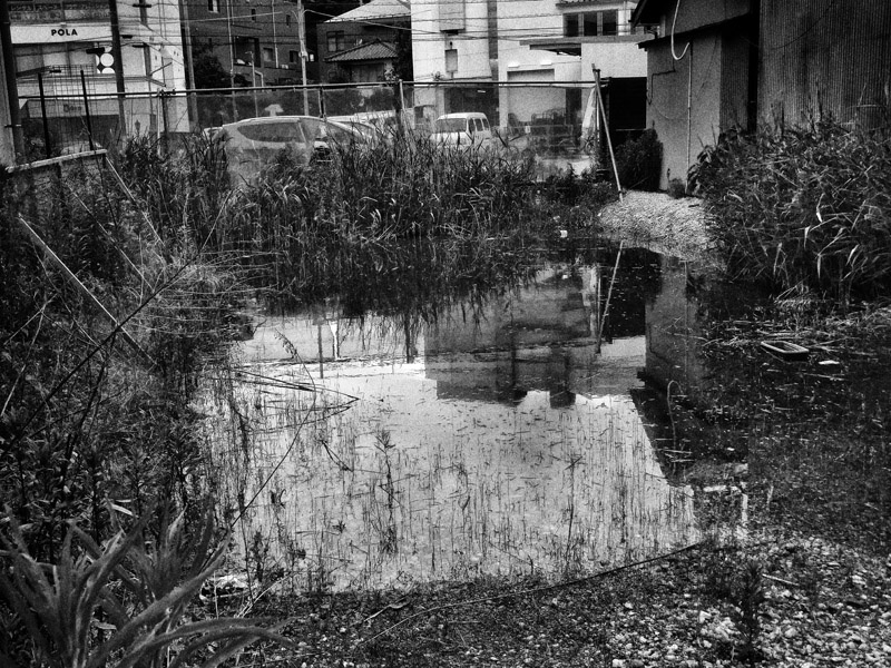 RECORD No.55 - Daido MORIYAMA | AKIO NAGASAWA