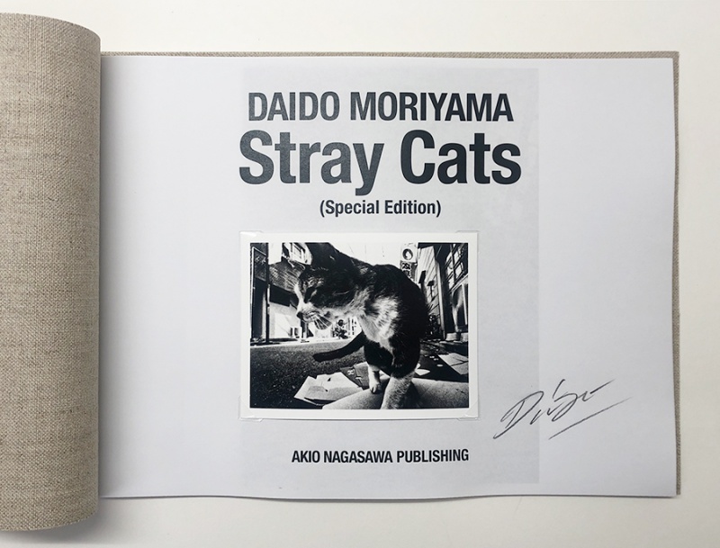 Stray Cats (Special Edition) B - Daido MORIYAMA | AKIO NAGASAWA