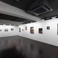 Light and Shadow in the Suburbs: selections from 25 Years - 過去の
