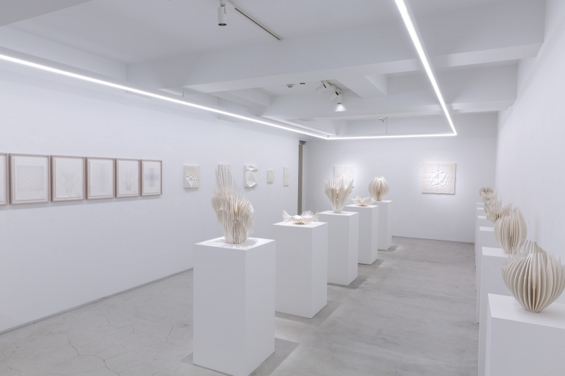 Hybridizing - 過去の展覧会 | AKIO NAGASAWA