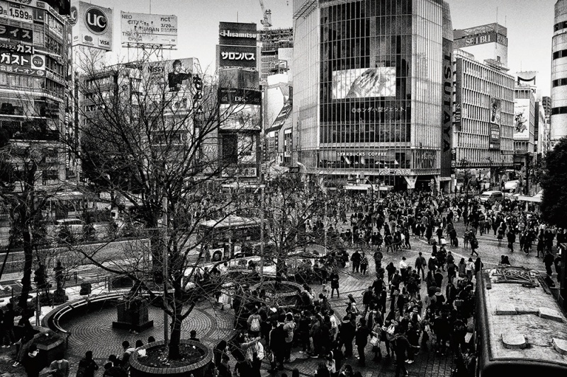DAIDO MORIYAMA 森山大道 写真集 テートモダン 東京の路地裏を捉えた森山大道の写真集『Tokyo』が発売｜撮影