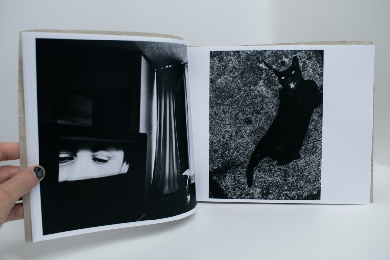 Stray Cats - Daido MORIYAMA | AKIO NAGASAWA