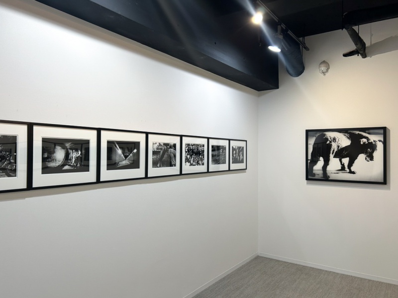 森山大道個展「狩人」富士見カメラ館 - Blog | AKIO NAGASAWA