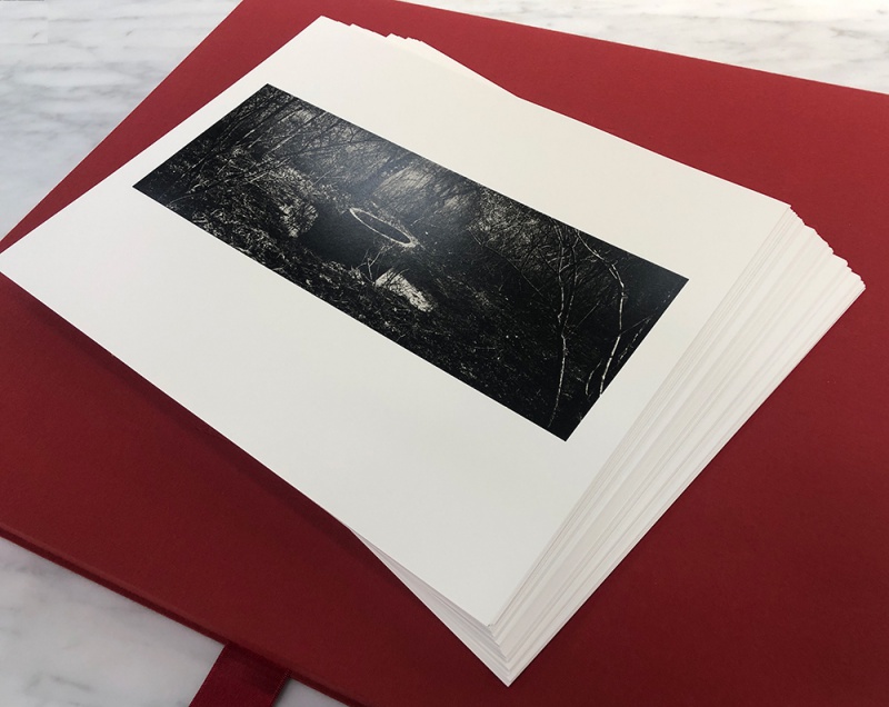 PHANTASMAGORIA（ポートフォリオ） - 猪瀬 光 | AKIO NAGASAWA