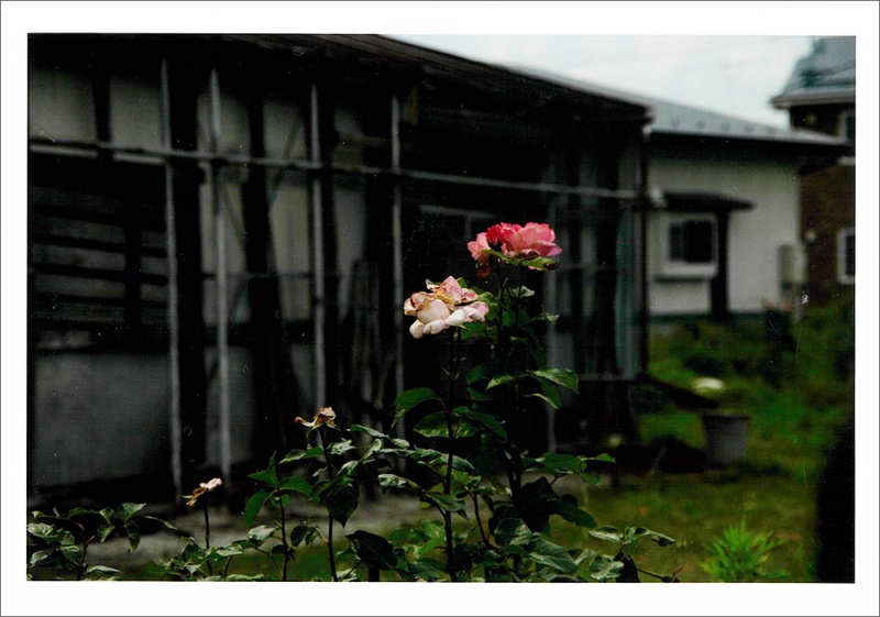 Sakiko Nomura: NUDE / A ROOM / FLOWERS [Signed]