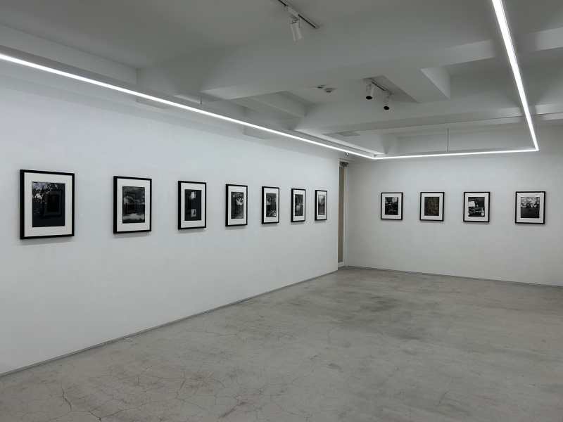 Träumerei - Past Exhibition | AKIO NAGASAWA