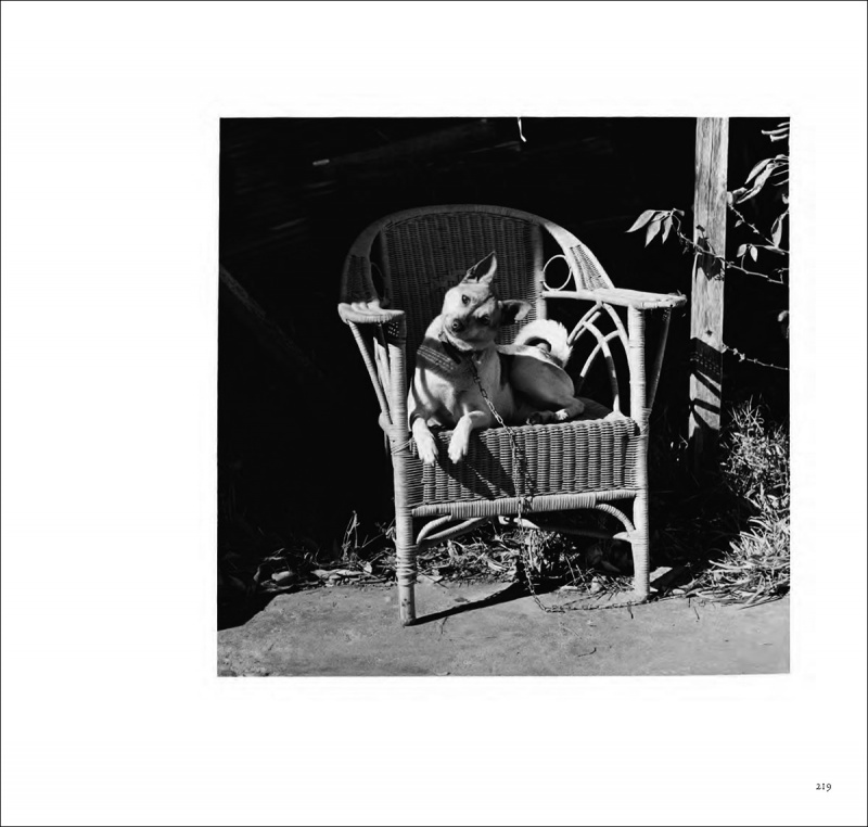 Early Works 1970-1975_E（特装版） - 須田一政 | AKIO NAGASAWA